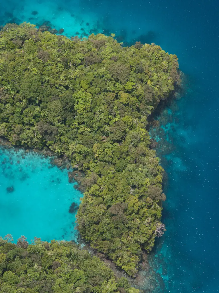Tauchreisen Mikronesien Palau